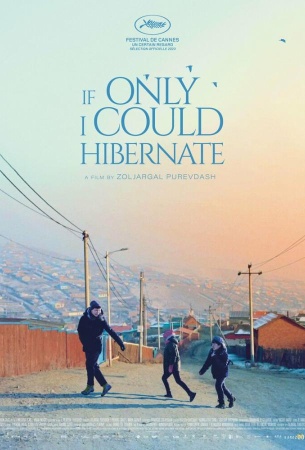 Если бы только я мог впасть в спячку